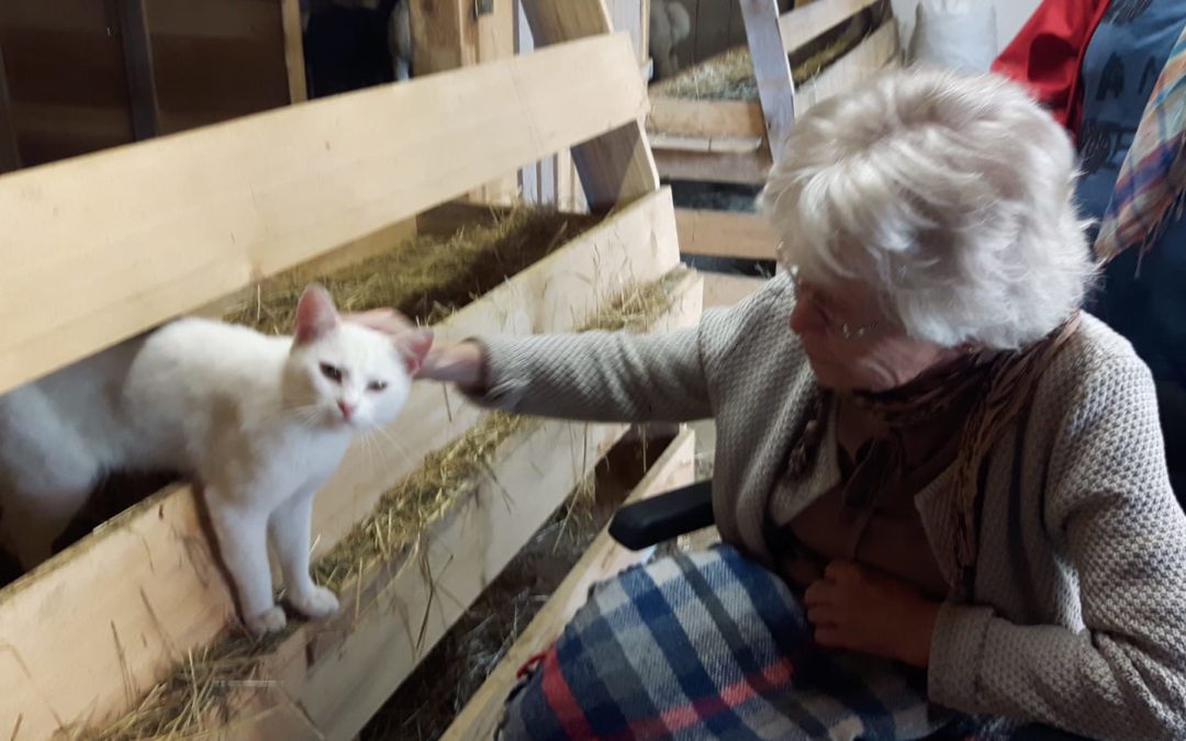 Dame im Rollstuhl streichelt eine weiße Katze am Weberhof