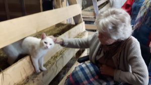 Dame im Rollstuhl streichelt eine weiße Katze am Weberhof