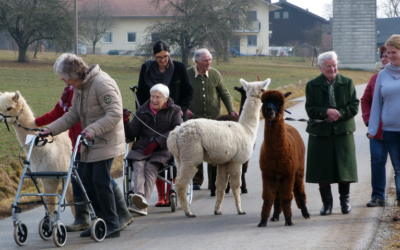 NONNA ANNA® Seniorinnen und Senioren zu Besuch bei Weber Fuenf – Alpakawanderung im Rottal