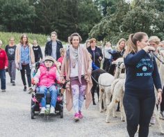 ausflug-bauernhof-rottal