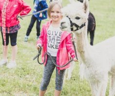 kindergeburtstag-alpakas